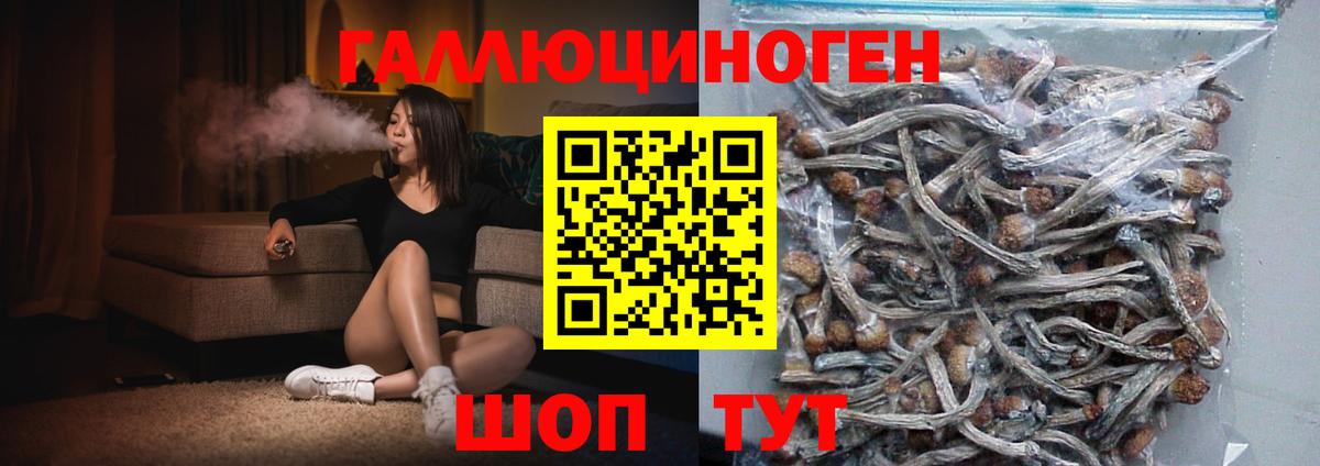 Галлюциногенные грибы ЛСД Киров